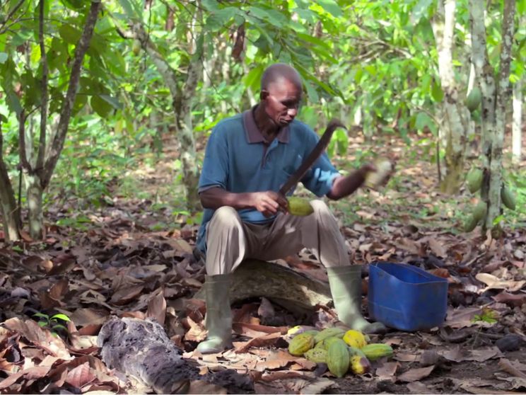 Prestiti garantiti in cambio di scuole: in Africa il modello è la Costa d’Avorio