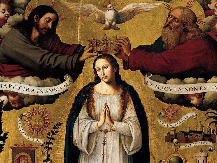 Reverse engineering sull'Immacolata concezione