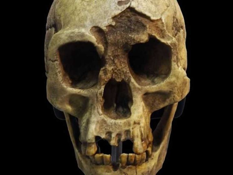 Così si estinsero gli hobbit: la triste storia dell'Homo floresiensis