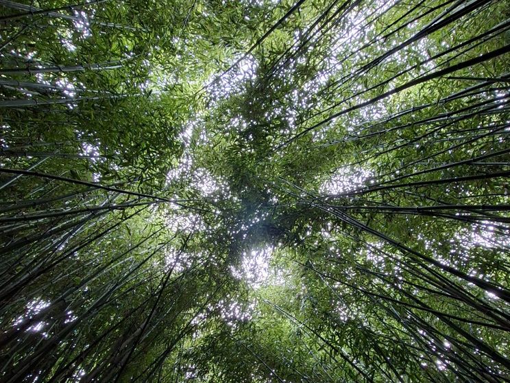 Fondazioni, più competenze per un impatto migliore