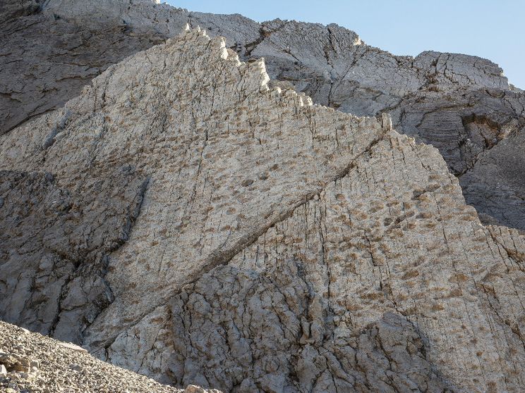 Migliaia di impronte di dinosauri scoperte nel Parco dello Stelvio