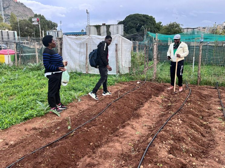 Gli orti di Palermo affidati ai migranti: anche così si fa integrazione