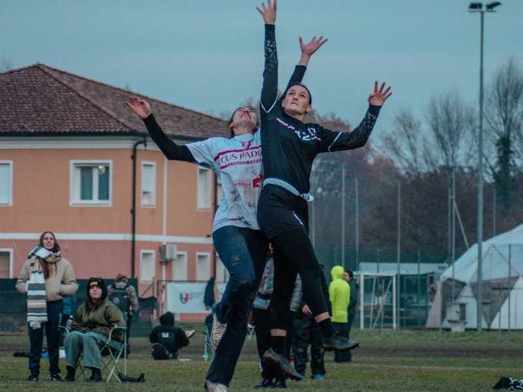 Elogio del frisbee, la tortiera divenuta sport. Senza arbitri
