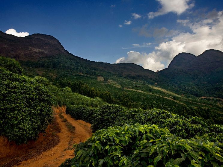 Dall'estrazione alla rigenerazione: così le imprese aiutano il pianeta