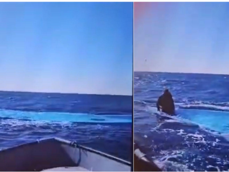 Lo screenshot del video che Alarm Phone ha ricevuto dal pescatore che ha recuperato l'unico superstite del naufragio / ALARMA PHONE