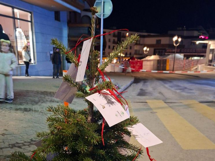 L'albero coi biglietti sistemato davanti al locale