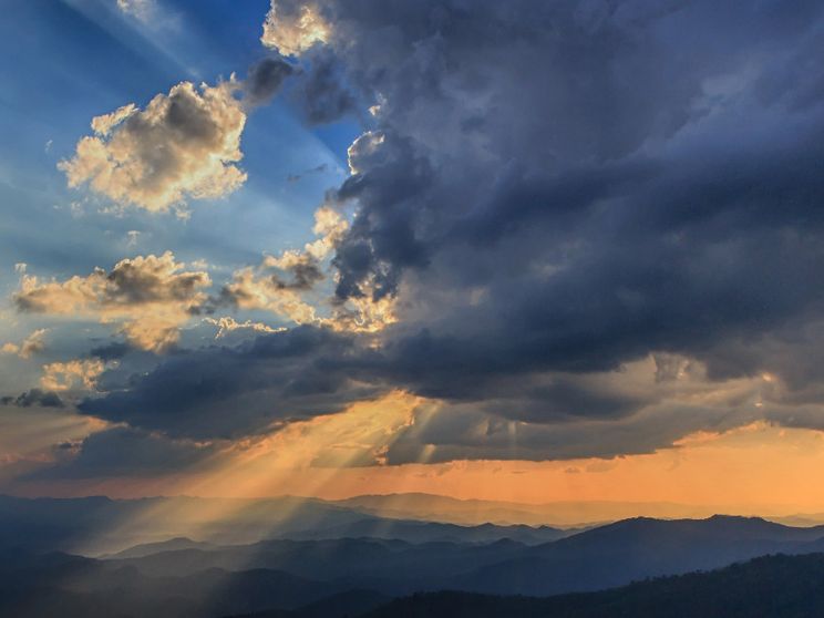 Non ci sarà mai pace se la vita innocente può essere uccisa