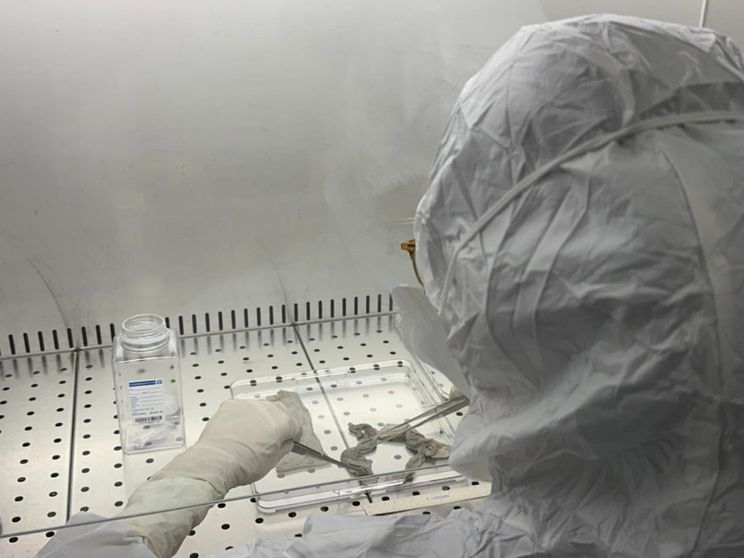 Il tesoro nascosto delle "banche della pelle"