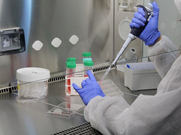 «Congelate gli ovuli»: la proposta choc di un'azienda diventa un benefit aziendale