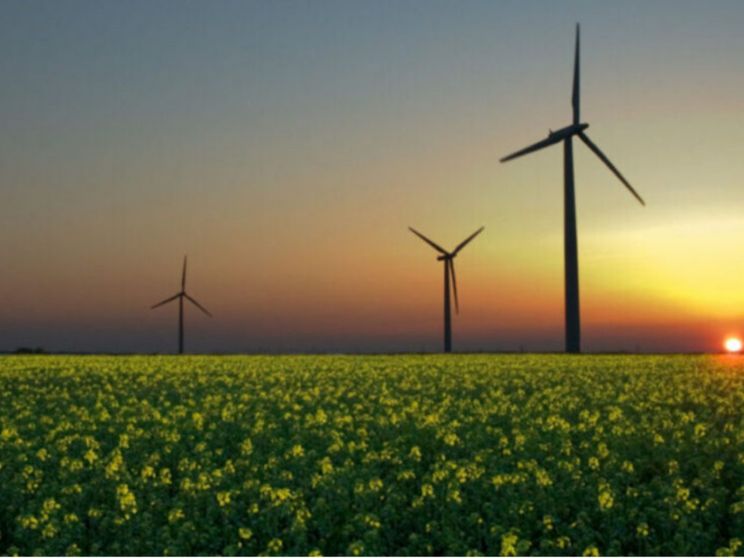 Dieci anni di ASvis: "Insieme per lo sviluppo sostenibile"