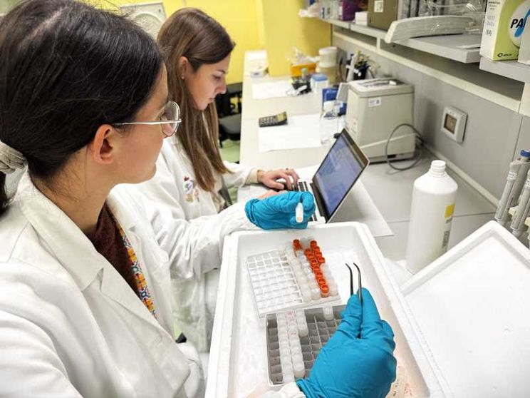 «I nuovi farmaci anticancro nasceranno dalle nostre cellule»