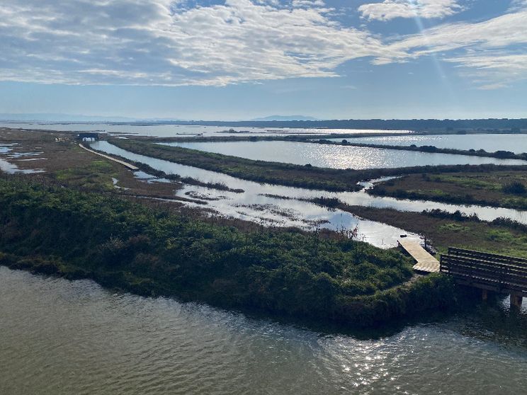 Le zone umide sono un business
