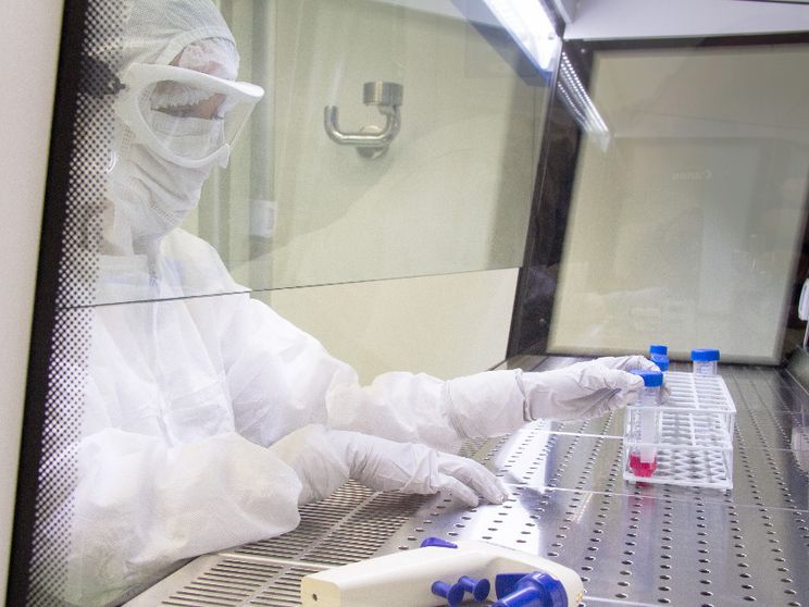 Sette bambini (su otto) con malattie autoimmuni gravi sono guariti grazie alle cellule Car-T