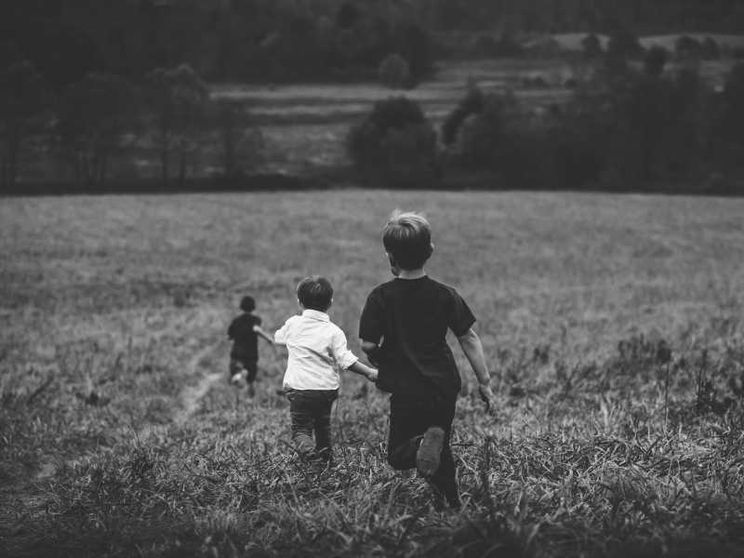 Il Novecento delle piccole cose di Raffaele Simone