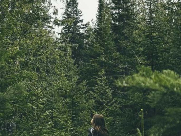 Basta guardarla per stare meglio: la forza curativa della natura