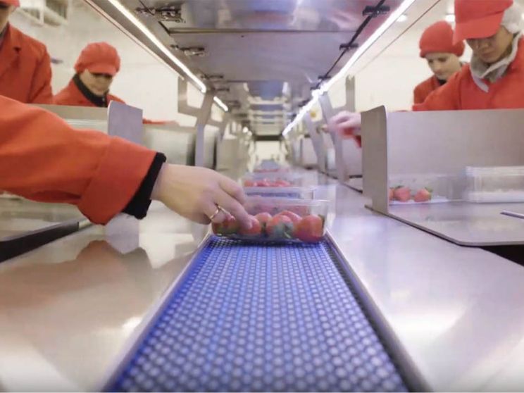 I patti per non "rubarsi" i dipendenti finiscono nel mirino dell'Antitrust