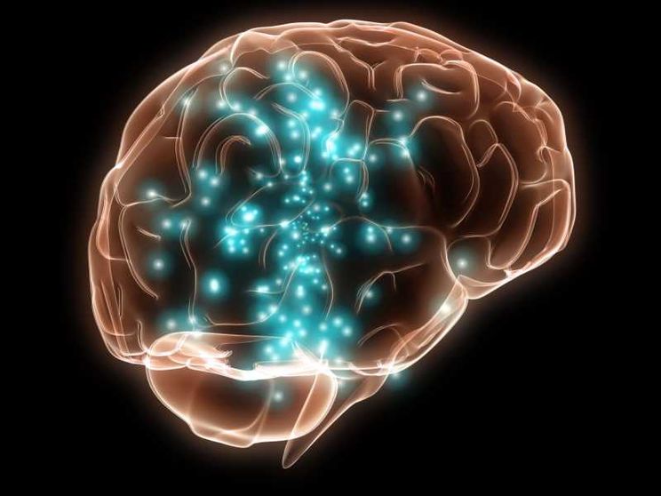 Ecografie e ultrasuoni: per le terapie neurologiche arriva Merge, rivale di Neuralink