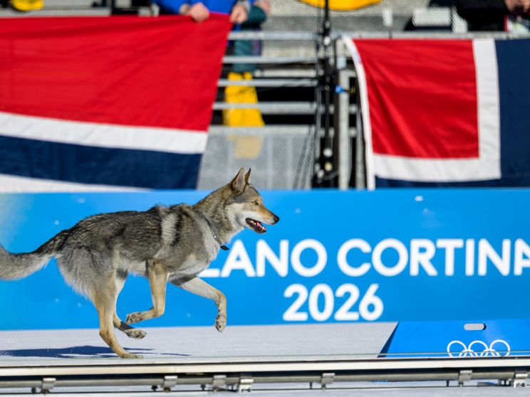 Strani Giochi: Cortina scopre i vigili romani e l'America l'acqua calda