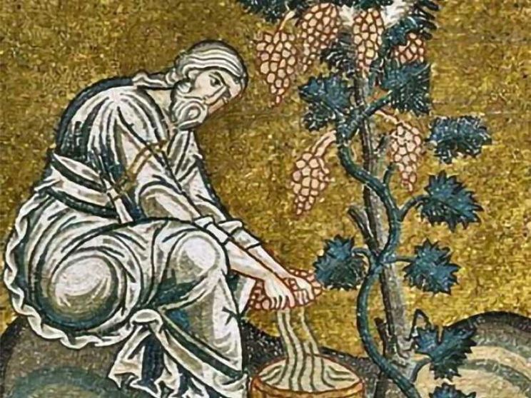 La via di Noè per restare umani