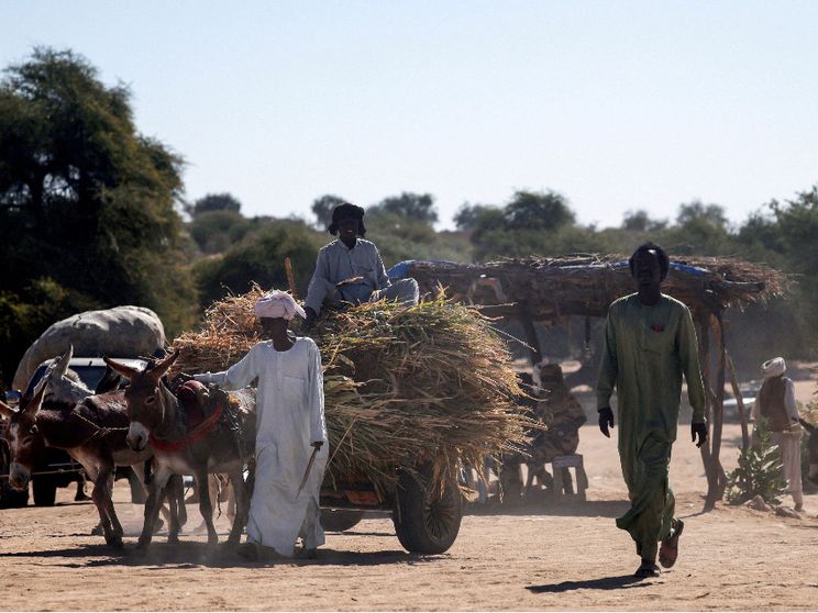 Una donna africana vestita di bianco guida a piedi un carretto trainato da un asino con a bordo il figlio e i pochi averi: fugge dalla guerra in Sudan