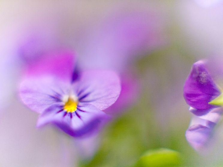 «Cerco gente capace di parlare di dialogo anche sotto le bombe»