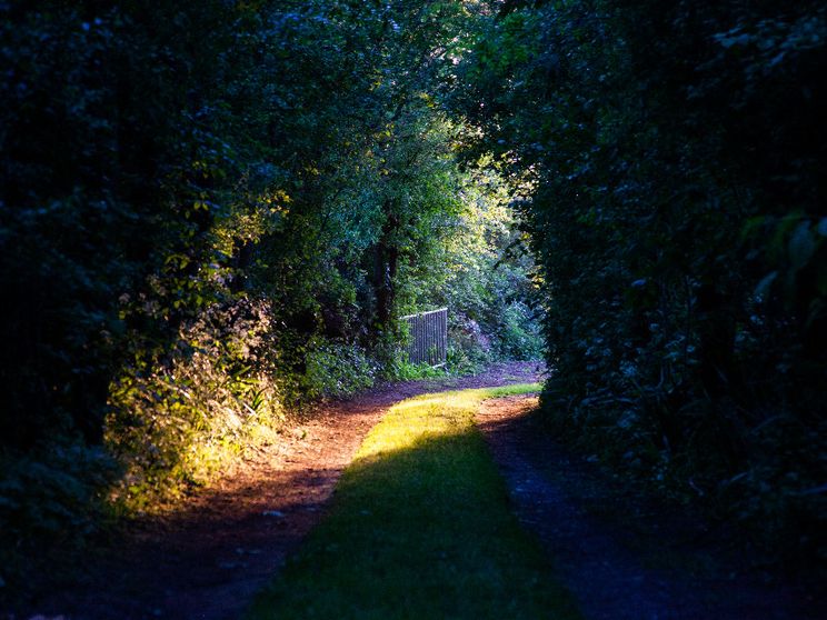 Evitare l'abisso del bellicismo: la strada che possiamo percorrere