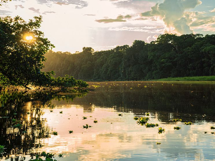 La biologa Evangelista: «Vivere in Amazzonia con un caimano per vicino»