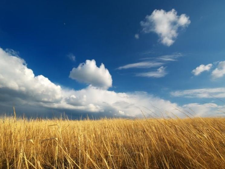 Il mondo che Dio ama è ampio come l'intera la famiglia umana