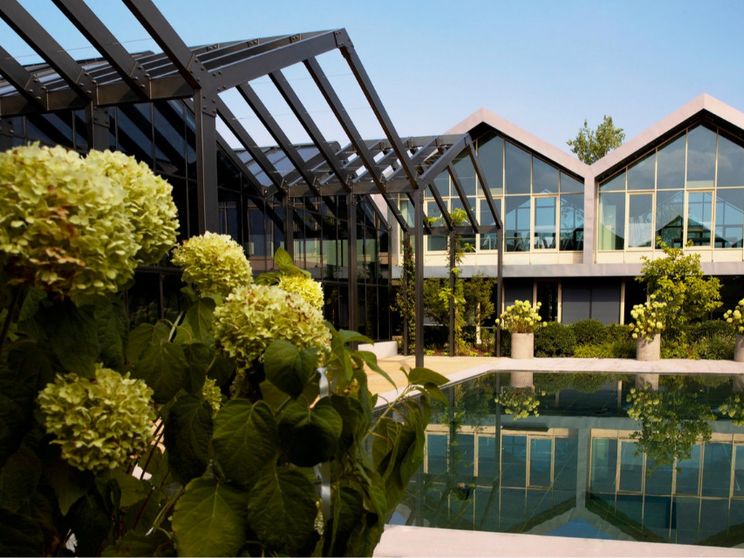 La cosmetica verde di Davines inizia dalle piante coltivate nell'orto aziendale