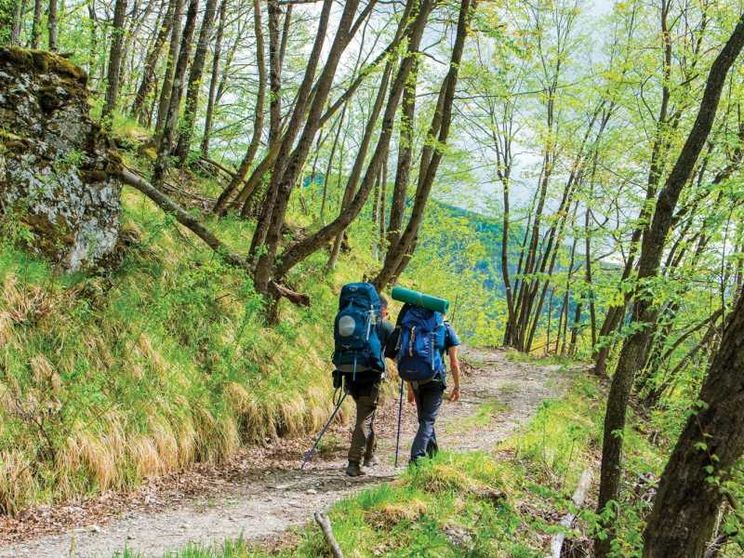 Boom dei cammini, sulle vie del turismo lento l'Italia corre: nel 2025 oltre 300mila viandanti