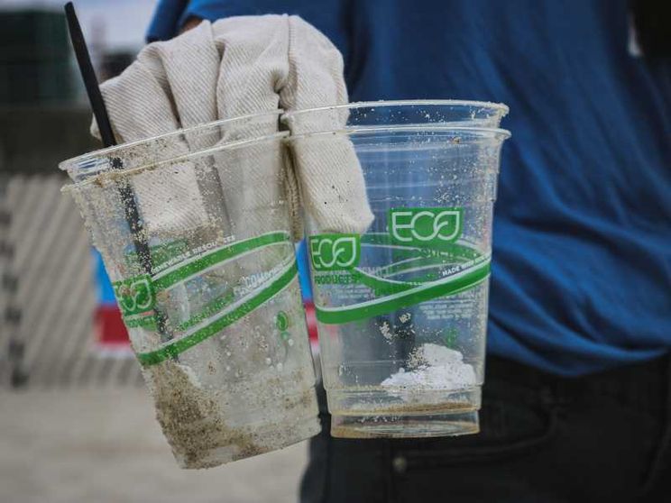 Il paradosso del greenwashing nei mercati dell'ecologismo