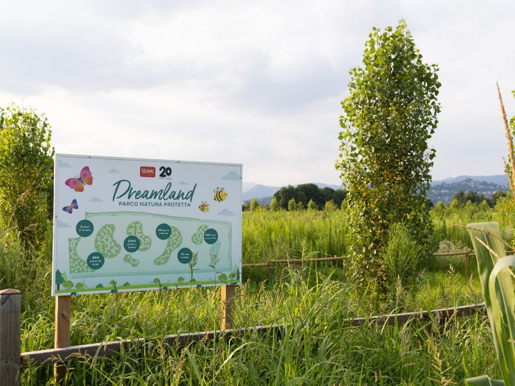 Colori, sogni e sostenibilità: dentro il modello Legami