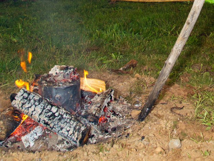 I Neanderthal  si curavano con il catrame di betulla