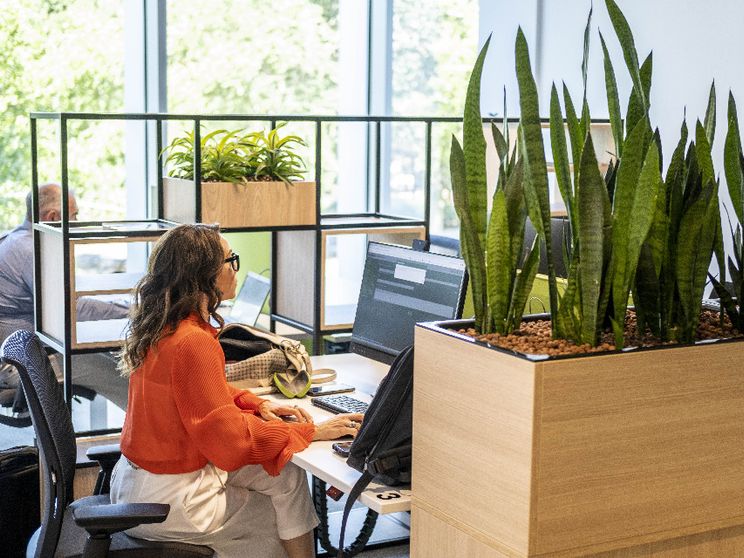 Rapporto Cisl sul lavoro: l'occupazione rallenta tra inverno demografico e problemi strutturali