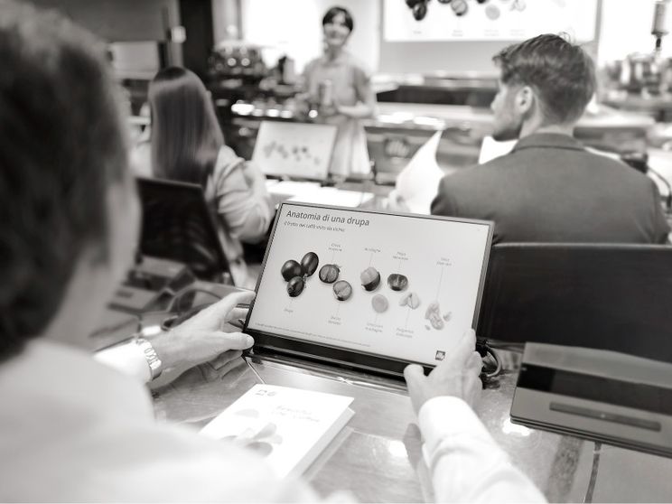 Trecento borse di studio dal ministero dell'Università e della Ricerca