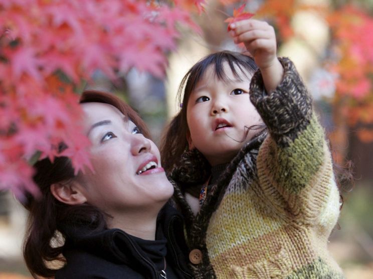 La svolta per la famiglia in Giappone: debutta l'affido condiviso in caso di separazione