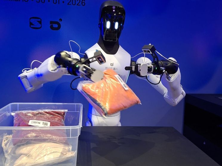 Lavorano, ci fanno compagnia, giocano: i robot umanoidi sono già in mezzo a noi