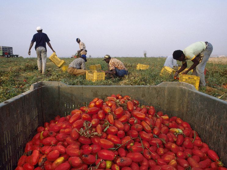 Il dramma del bracciante Alagie, 29 anni, che si è impiccato nella baraccopoli