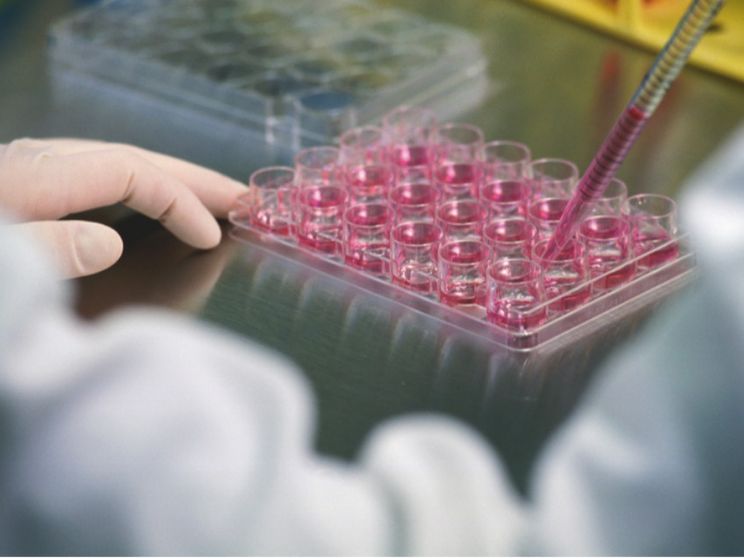 Terapia genica e farmaci con Rna, dal Pnrr successi italiani. «Ma ora va data continuità»