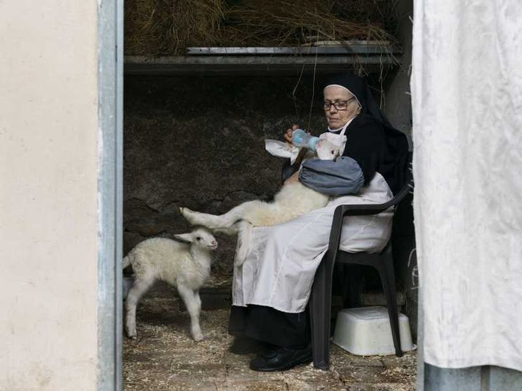 "Agnus Dei", arrivano in sala gli agnellini del Papa