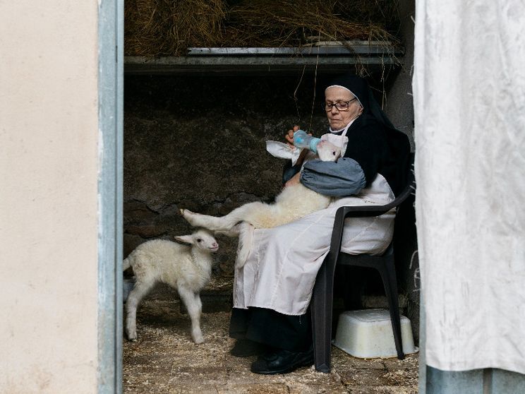 "Agnus Dei", arrivano in sala gli agnellini del Papa