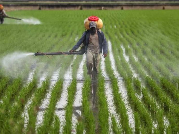 Su fertilizzanti ed emissioni di CO2 abbiamo un pasticcio chiamato Cbam