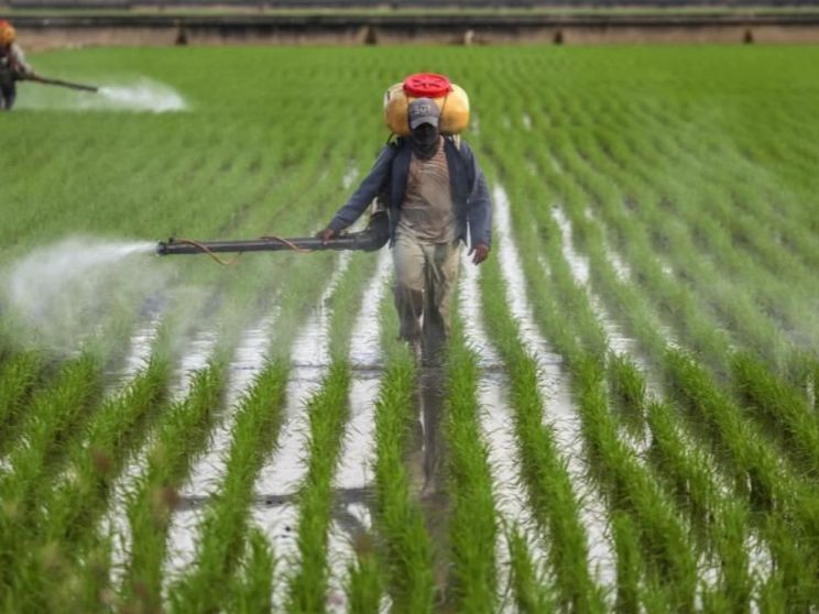 Su fertilizzanti ed emissioni di CO2 abbiamo un pasticcio chiamato Cbam