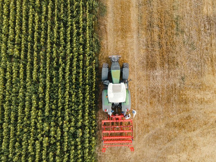 L’IA al lavoro anche nei campi: aiuta in chat gli agricoltori