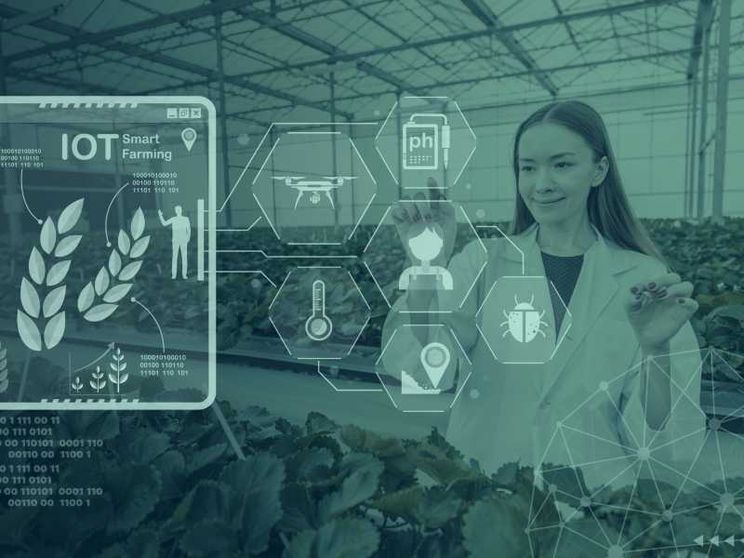Raggi cosmici e campi smart, il futuro dell’Agri Food è Tech: l’Esg diventa investimento