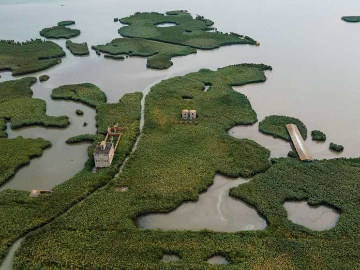 Il Delta del Po affoga: ecco le voci di chi prova a resistere