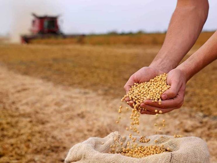 Effetto Hormuz, i prezzi globali del cibo sono ai massimi da quattro anni