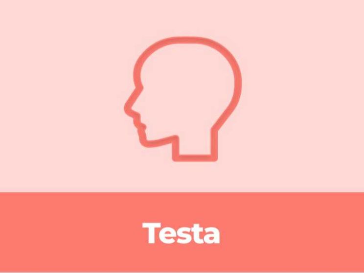 Usiamo la TESTA