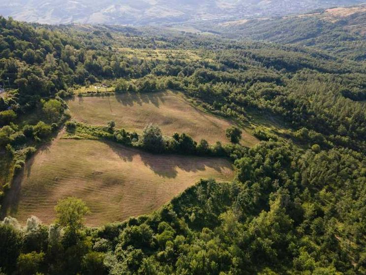 Nasce la Scuola dei mestieri della terra