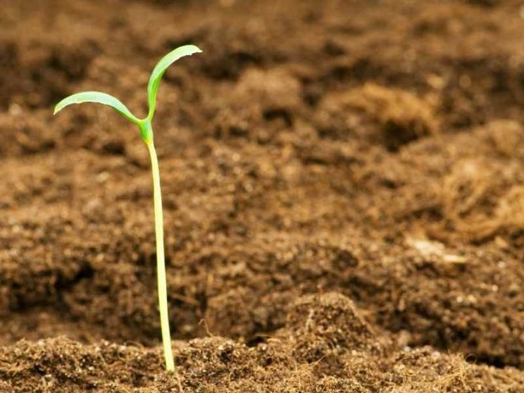 La speranza è lo «stare al mondo» di chi ha conosciuto la disperazione